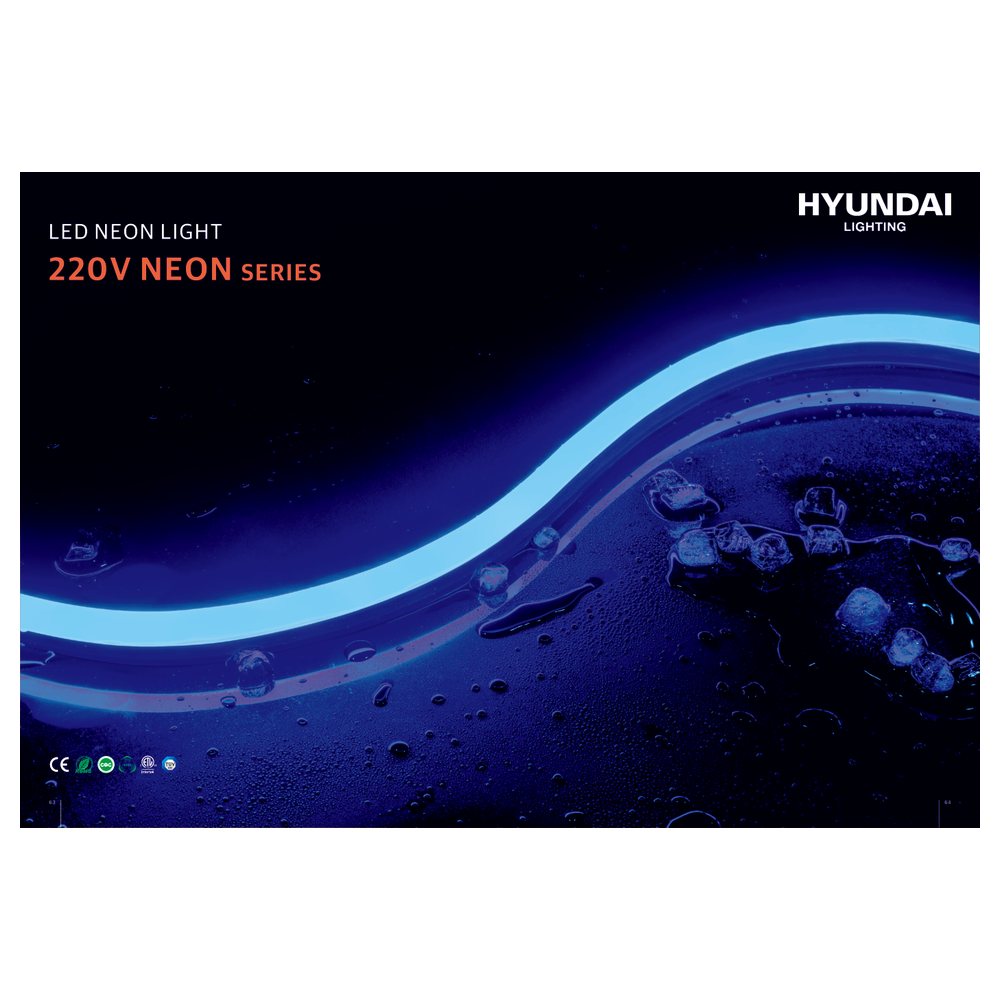 Hyundai 220V Neon Light Kuwait