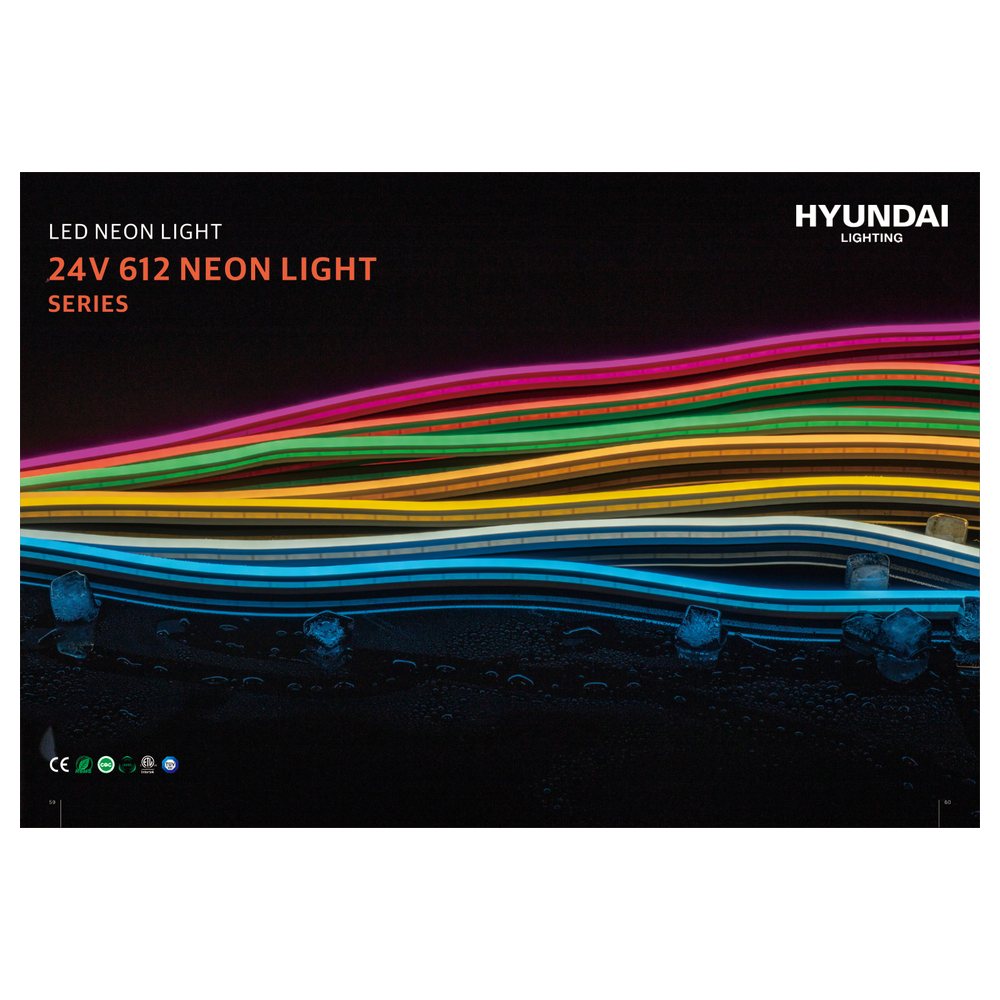 Hyundai 24V/12V Neon Light Kuwait